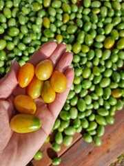 green peas in a hand