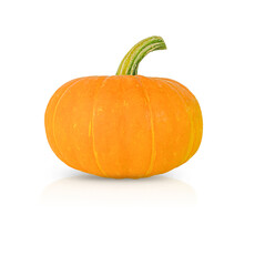 One yellow pumpkin isolated on a white background