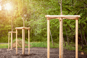 Planting Tree Seedlings with Trees Protection. Newly Planted Tree. Restore Nature concept. World Environment Day.