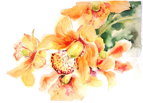 Watercolor yellow orange orchid illustration.