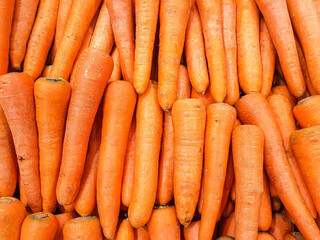 bunch of carrots
