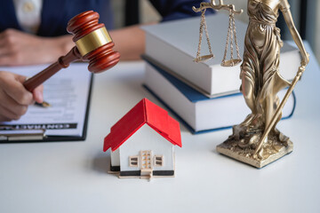 Law, Counsel, Agreement, Contract, Lawyer, Advising on litigation matters and signing contracts as...