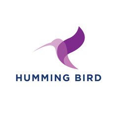 humming bird logo creative design template