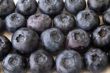 pattern of fresh blueberries on a white background