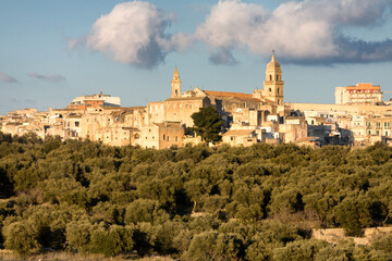 Gravina in Puglia, Bari. Panorama della cittadina circondata dalla foresta do pini.