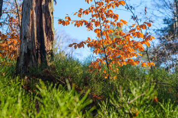 Kristiansand, Norway