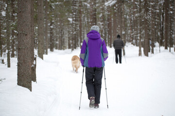 A woman and a man are engaged in Scandinavian walking, in winter through the forest on a special track.