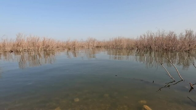 An wild beach in the Sea of Galilee near Tiberias 