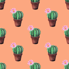 Seamless  watercolor pattern of cactuses in brown pots on a orange background. Blooming cactus with pink flower and orange thorns in a brown pot.