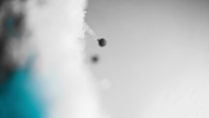 Fungus under a microscope. Mold structure. The study of microorganisms. Science and laboratory research. Alien organism