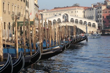Fototapeta na wymiar Ponte di Rialto sul Canal Grande co fila di gondole al palo 