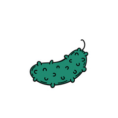 Cucumber hand drawn cartoon isolated on awhite. Stock flat vector illustration.