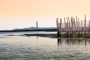 Laguna di Venezia. Barena con rete da pesca verso il campanile di Burano