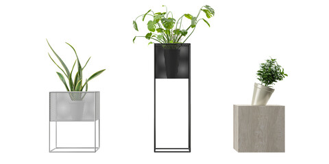 Set of plants in wood & metal pots isolated on transparent background 3D render
