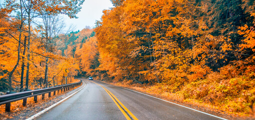 Road across the forest in foliage season on a rainy day