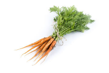 freshly picked carrots