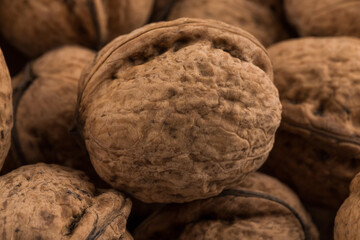Walnut nut closeup