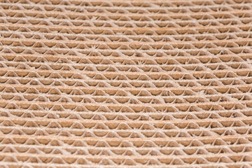 Cross section of multilayer unbleached corrugated cardboard, selective focus