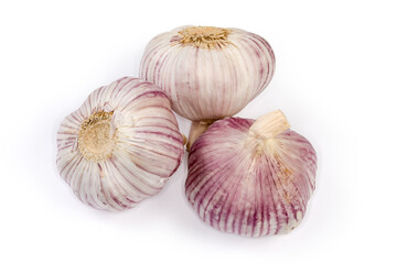 Bulbs of the purple stripe garlic on a white background