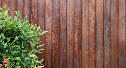 Wooden brown fence with green plants