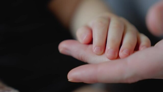 mother holds the hand of a newborn. children hand. hospital takes care of happy family medicine concept. newborn baby holding mom hand close-up. mom takes care close-up baby in the hospital