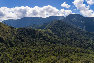 Forest area of mount Rinjani Lombok island