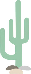 Vector flat cactus. Natural hand drawing element with desert plant on transparent background