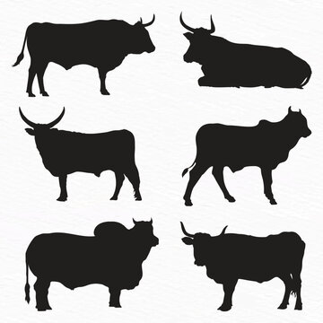 Vector cow silhouette black and white cows icons set