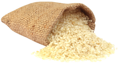 Fresh rice in sack bag
