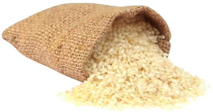 Fresh rice in sack bag