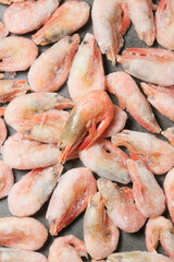 fresh shrimps on the market