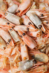 remains of shrimp shells on a plate, leftover food