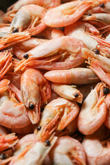 fresh shrimps on the market