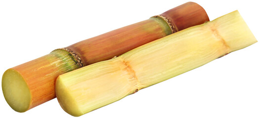 Piece of sugarcane - obrazy, fototapety, plakaty