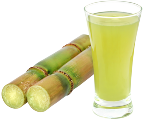 Piece of sugarcane with juice