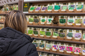 View of woman choosing seeds for sowing. Gardening concept. Sweden.