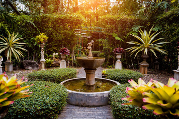 Fototapeta na wymiar Luxury landscape design of the tropical garden
