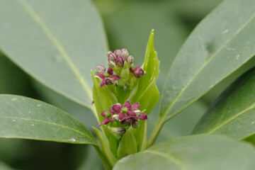 東京都港区愛宕2丁目のアオキ