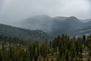 Stormy Fog Gathers Over Foothills of Kings Canyon