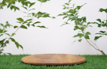 Wood podium on grass with tree branch green leaf white space background.Promotion beauty cosmetic and healthy natural product placement pedestal platform showcase display,spring or summer advertising.