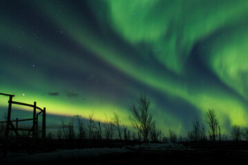 aurora borealis in Sweden with trees and a fence