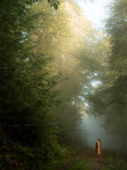Woman wandering in a foggy sunny forest - 580319370