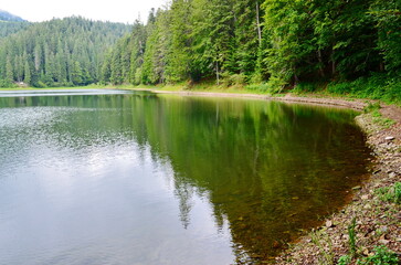 Fototapeta na wymiar lake Synevir in Carpathian mountain. Ukraine. beautiful summer landscape. trees are reflection in the water