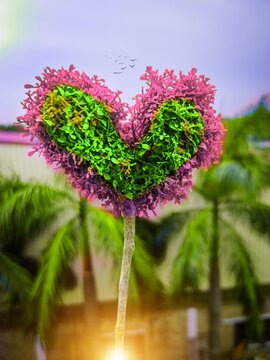 Love tree colourfull baground wallpepar photo