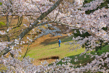散歩している子供