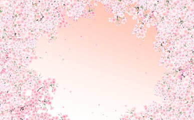 Obraz premium イラスト素材 満開の桜と花びら・小 -うすべにグラデーション背景- 色違い・差分あり