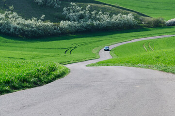 road winding among the green hills of moravia