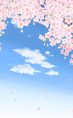 満開の桜と花びら・大 　縦型イラスト素材 -青空水色ー背景- 色違い・差分あり