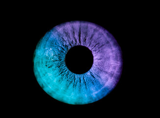 Human blue and lilac iris eye. Colorful Pupil in macro on black background