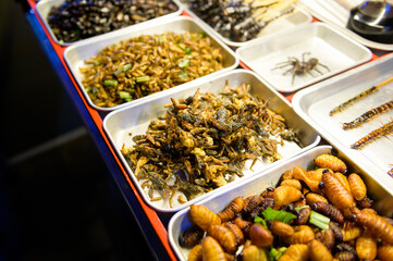 Exotic food in Khao San road at night in Bangkok city, Thailand, Holidays and traveling concept
